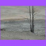 Mammoth Hot Springs - Bubbling Water.jpg